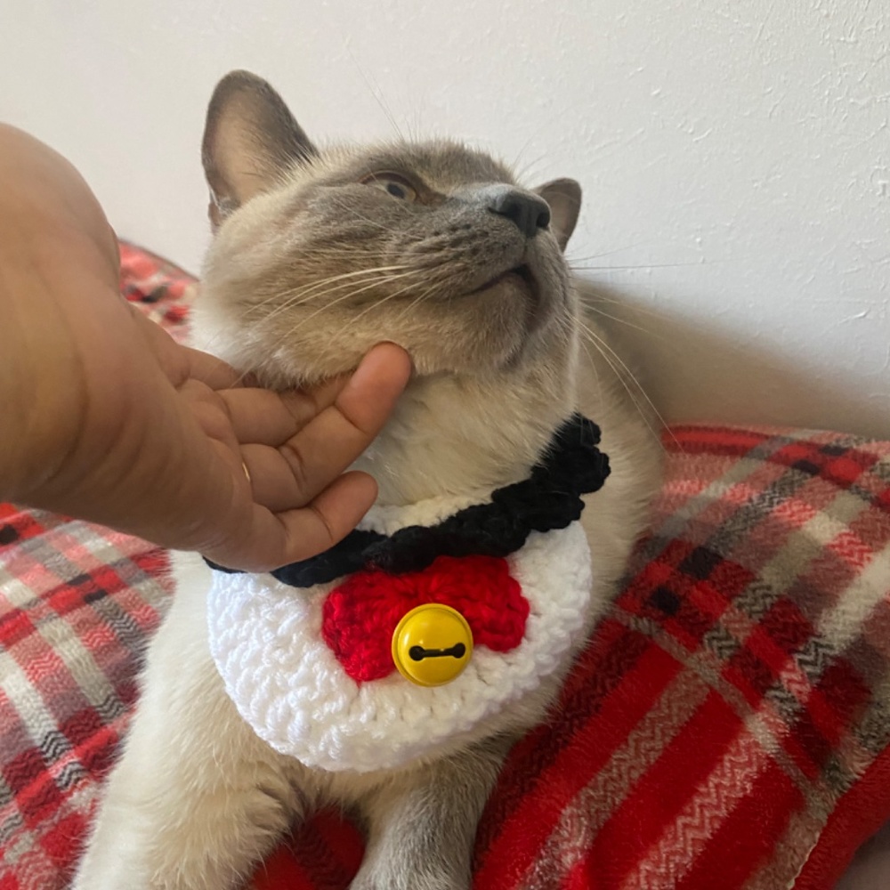 Cat collar - Picture 2 of 2